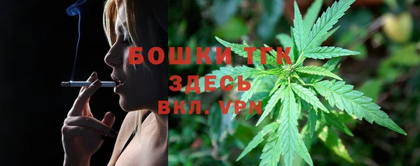 СК Вязьма