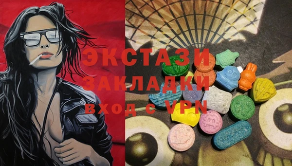 спиды Вяземский
