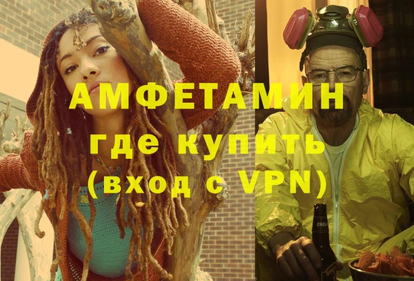 спиды Вяземский
