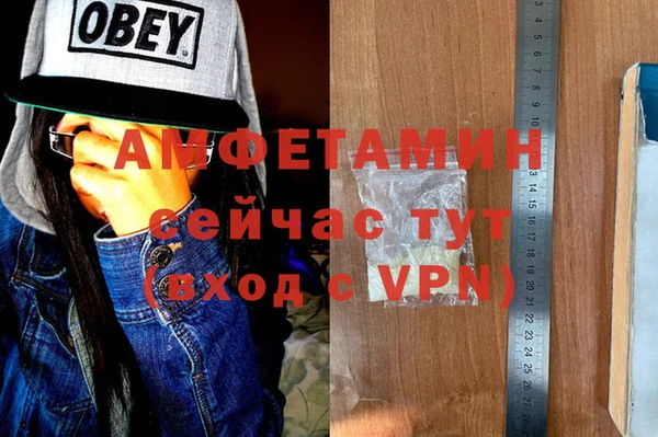 спиды Вяземский