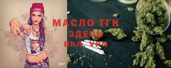 спиды Вяземский