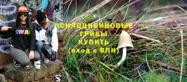 спиды Вяземский