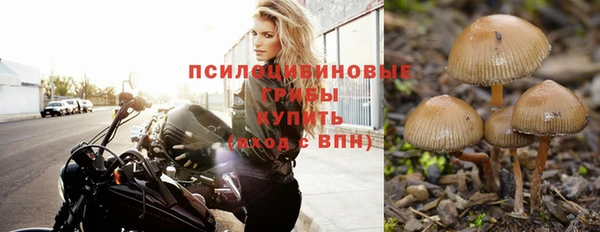 спиды Вяземский
