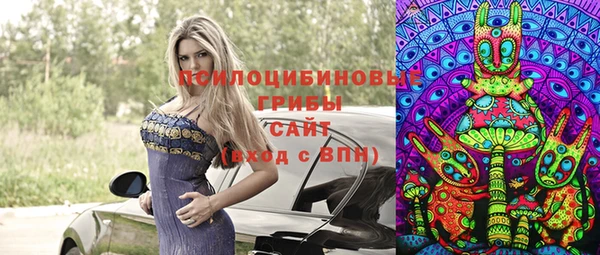 СК Вязьма