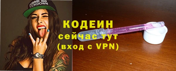 СК Вязьма