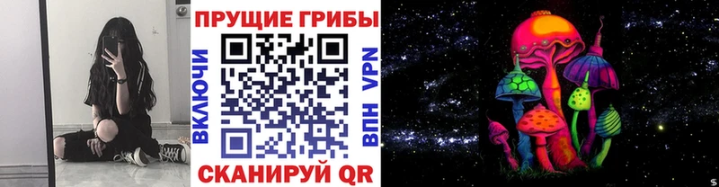 Галлюциногенные грибы мицелий  Купить закладки  Цивильск 
