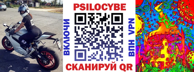 Псилоцибиновые грибы Cubensis Цивильск